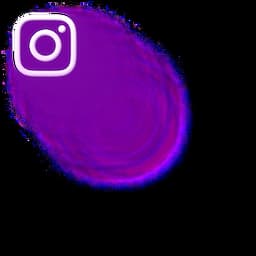 Social-section-Instagram